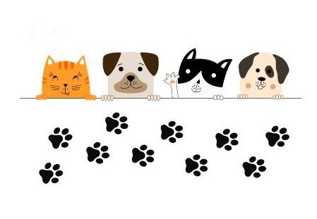 Cats and Dogs with paw prints